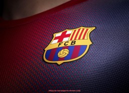 人人体育直播-德甲球队缩写名称大全（含中文对照）