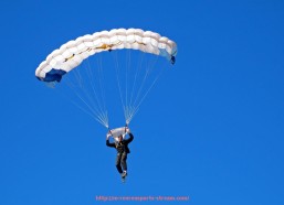 人人体育直播-世俱杯各参赛球队支持度调查及球迷基础分析