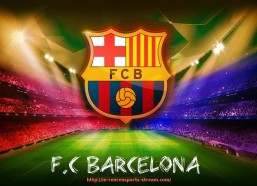 人人体育直播-世俱杯赞助资金审计流程设计及关键控制点